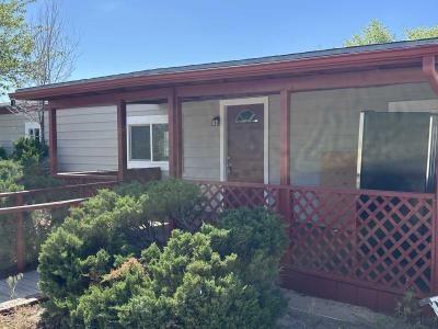 Photo 3 of 29 of home located at 215 Haas Ct Sun Valley, NV 89433