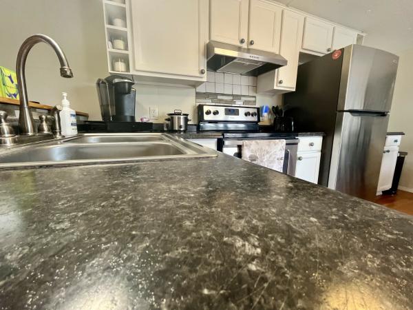 1970 skyline 1234 Mobile Home