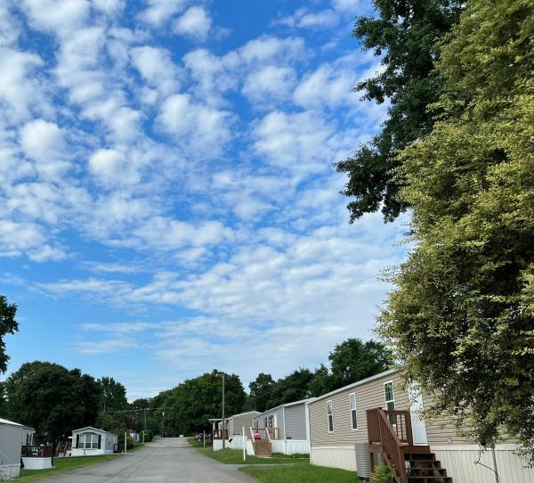 2023 Southern Energy Homes Price Buster Mobile Home