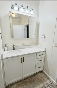 2011 Skyline Manufactured Home