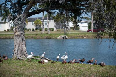 Photo 3 of 5 of home located at 991 Bonaire Avenue Venice, FL 34285
