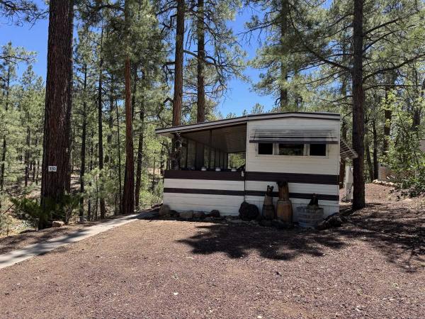 1981 Mobile Home Mobile Home For Sale