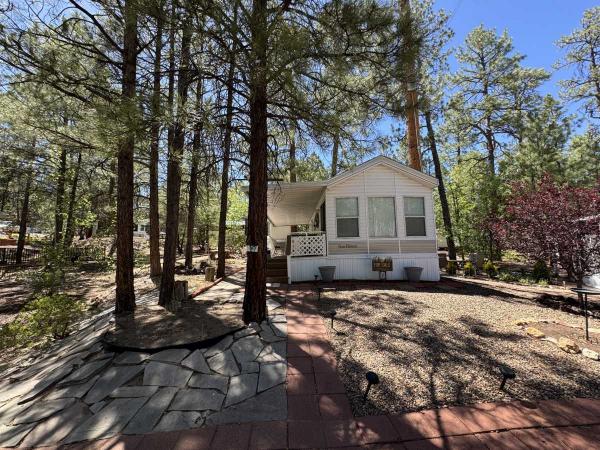 1994 Skyline Mobile Home For Sale