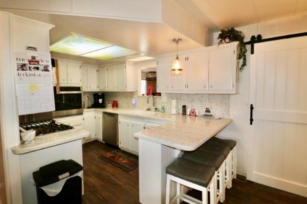 1971 Santa Anita Mobile Home