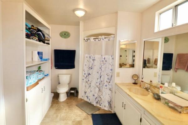 1971 Santa Anita Mobile Home
