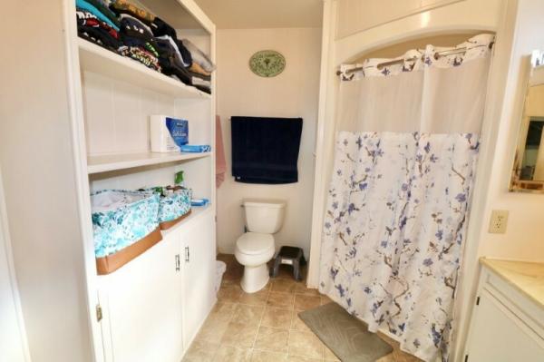 1971 Santa Anita Mobile Home