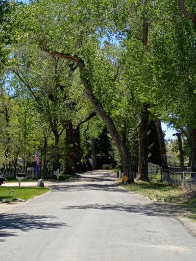 Mobile Home at #53 Shady Tree Lane Carson City, NV 89706