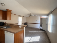 2006 Skyline NA Mobile Home