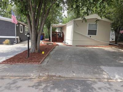Photo 3 of 56 of home located at 1095 Western Dr Lot 309 D Colorado Springs, CO 80915