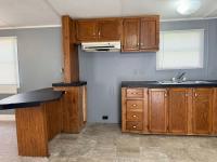 Mobile Home