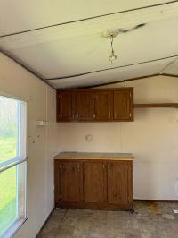 Mobile Home