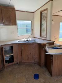 Mobile Home