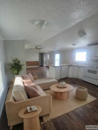 1993 Skyline Meadowridge Manufactured Home