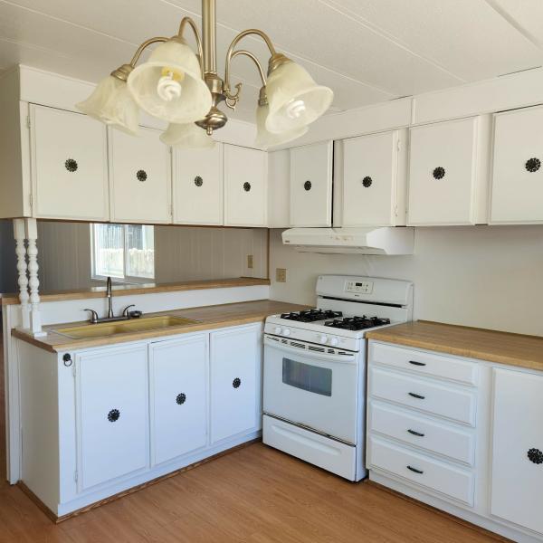 1978 Skyline none Mobile Home