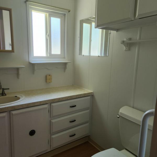 1978 Skyline none Mobile Home