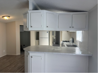 1996 Skyline Manufactured Home