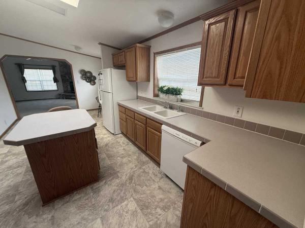 2001 SKYLINE Manufactured Home