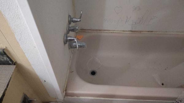 1980 Windsor N/A Manufactured Home