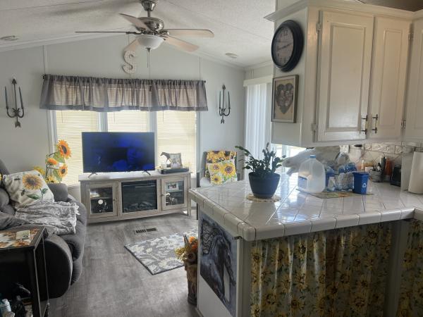 1994 Mobile Home