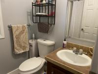 2009 Skyline Mobile Home