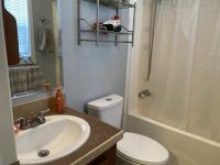 2009 Skyline Mobile Home