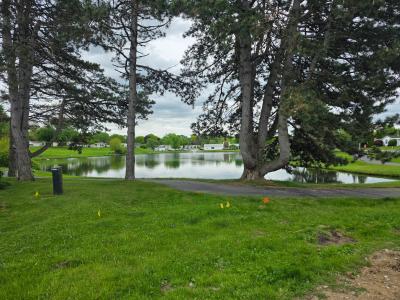 Mobile Home at 175 Flicker #175 Rochester Hills, MI 48309
