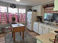 1981 SUNC  Home