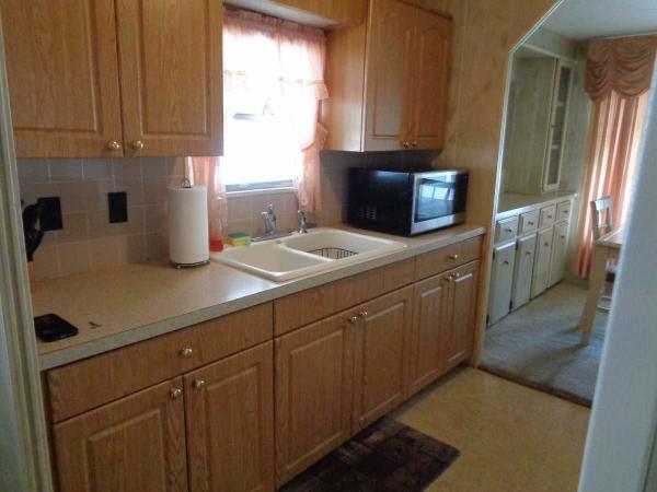 1980 TWIN Manufactured Home