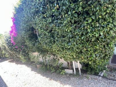 Photo 3 of 7 of home located at 8811 Canoga Avenue #340 Canoga Park, CA 91304