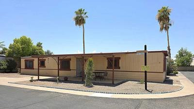 Mobile Home at 9501 E Broadway Rd, Lot 16 Mesa, AZ 85208