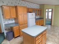 1998 Skyline Manufactured Home