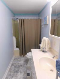 1980 TWIN Mobile Home