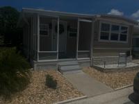1971 Skyline Mobile Home