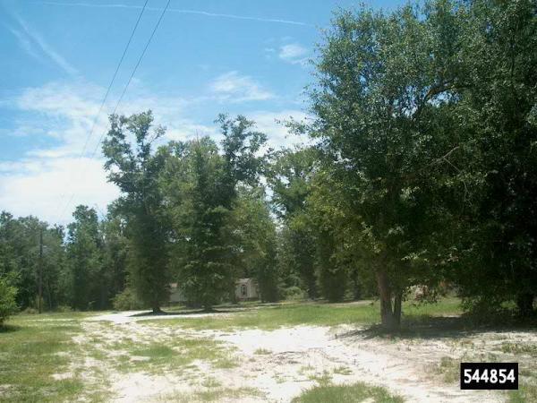 Photo 1 of 2 of home located at 3339 NW 40th Loop Jennings, FL 32053