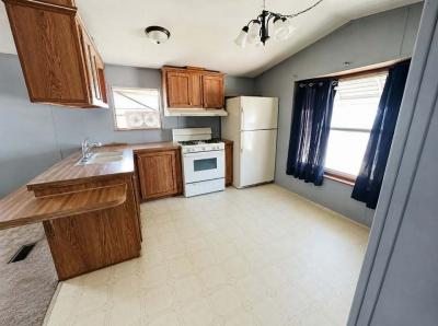 Mobile Home at 546 Selkirk Drive Mount Morris, MI 48458