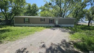 Mobile Home at 24 N Austin Ave Herrick, IL 62431