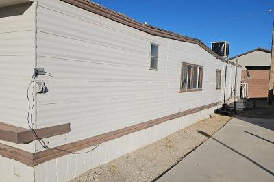 Photo 3 of 10 of home located at 236 Macfarland Ave Indian Springs Estates Mhp Llc, NV 89018
