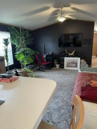 1999 Skyline Manufactured Home