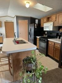 1999 Skyline Manufactured Home