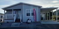 2025 Clayton Homes Stayin Alive Manufactured Home