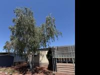 1977 KIB Manufactured Home