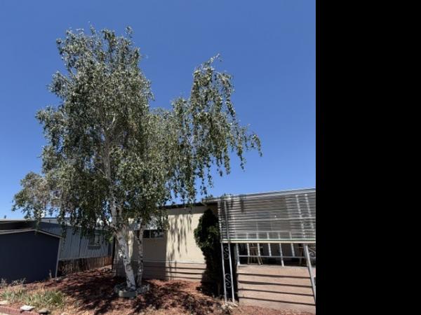 1977 KIB Manufactured Home