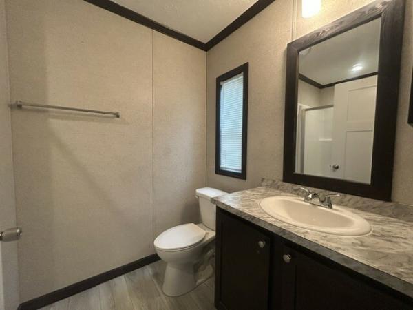 2023 Skyline Sugarcreek Express Premier  Home