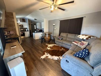 Photo 4 of 33 of home located at 50918 Parker Dam Rd #121 Earp, CA 92242