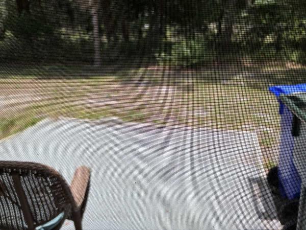 1991 Palm Harbor DOUBLEWIDE Mobile Home