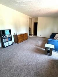 1997 Skyline Mobile Home