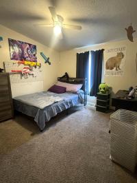 1997 Skyline Mobile Home