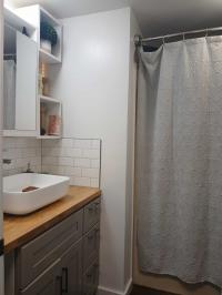 1986 Skyline Palm Manor Mobile Home