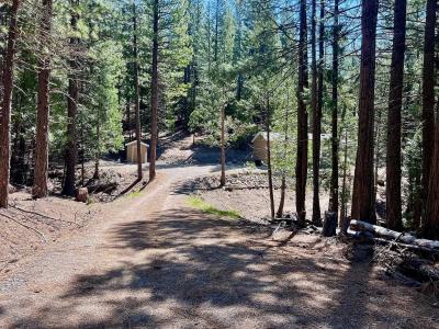Photo 3 of 17 of home located at 955 Shady Lane Clio, CA 96106