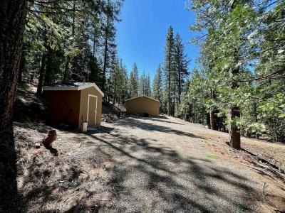 Photo 5 of 17 of home located at 955 Shady Lane Clio, CA 96106